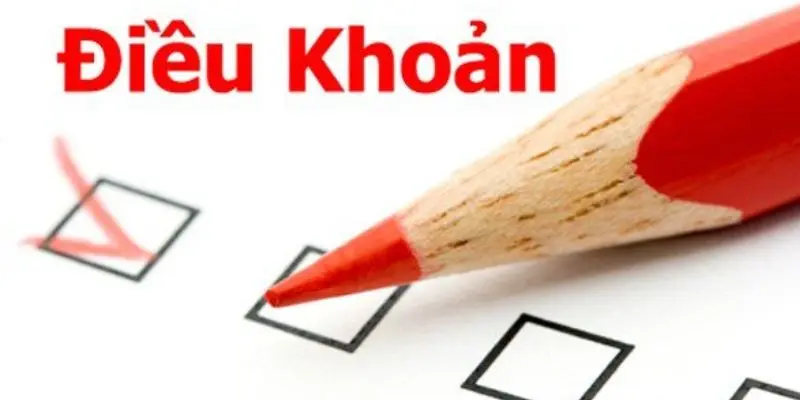 Điều khoản và điều kiện về tài khoản