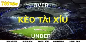 Kèo Tài Xỉu Là Gì? Top 5 Tỷ Lệ Phổ Biến Nhất Ở Kèo O/U